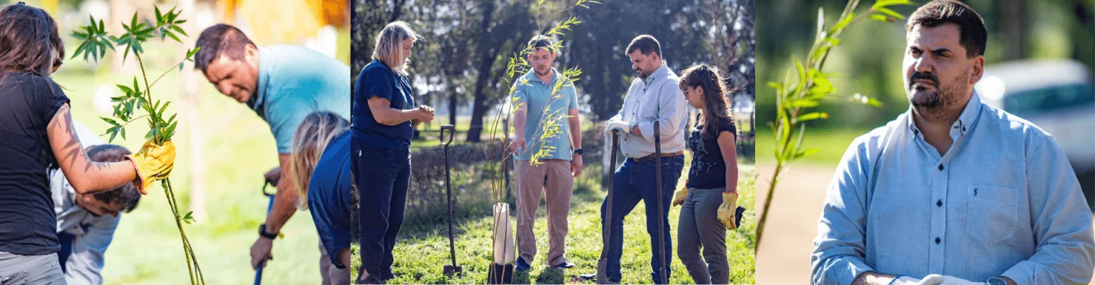Optimizar Forestal SAS