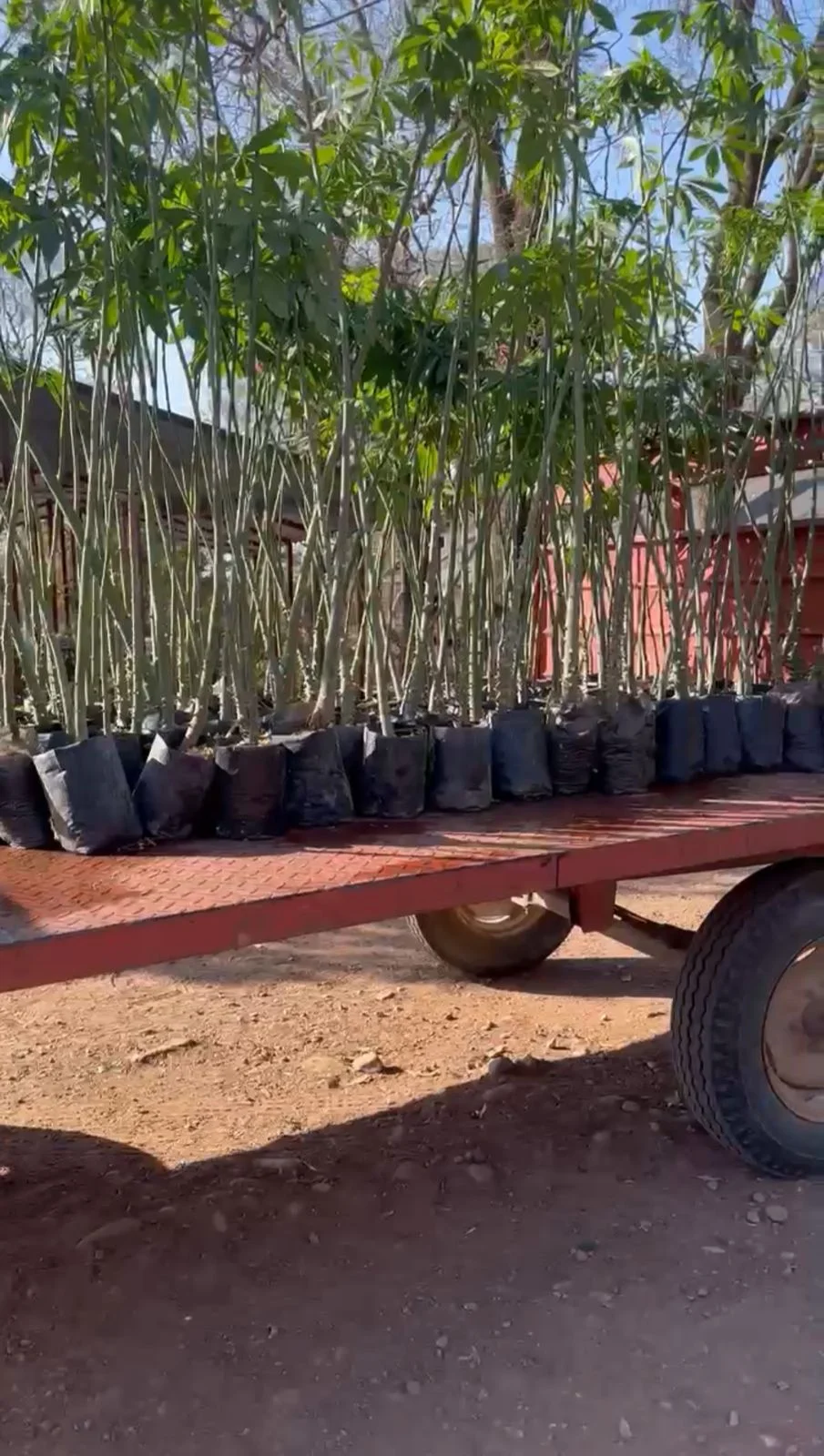 ESCUELA AGROTECNICA N°4 NELLY ARRIETA 