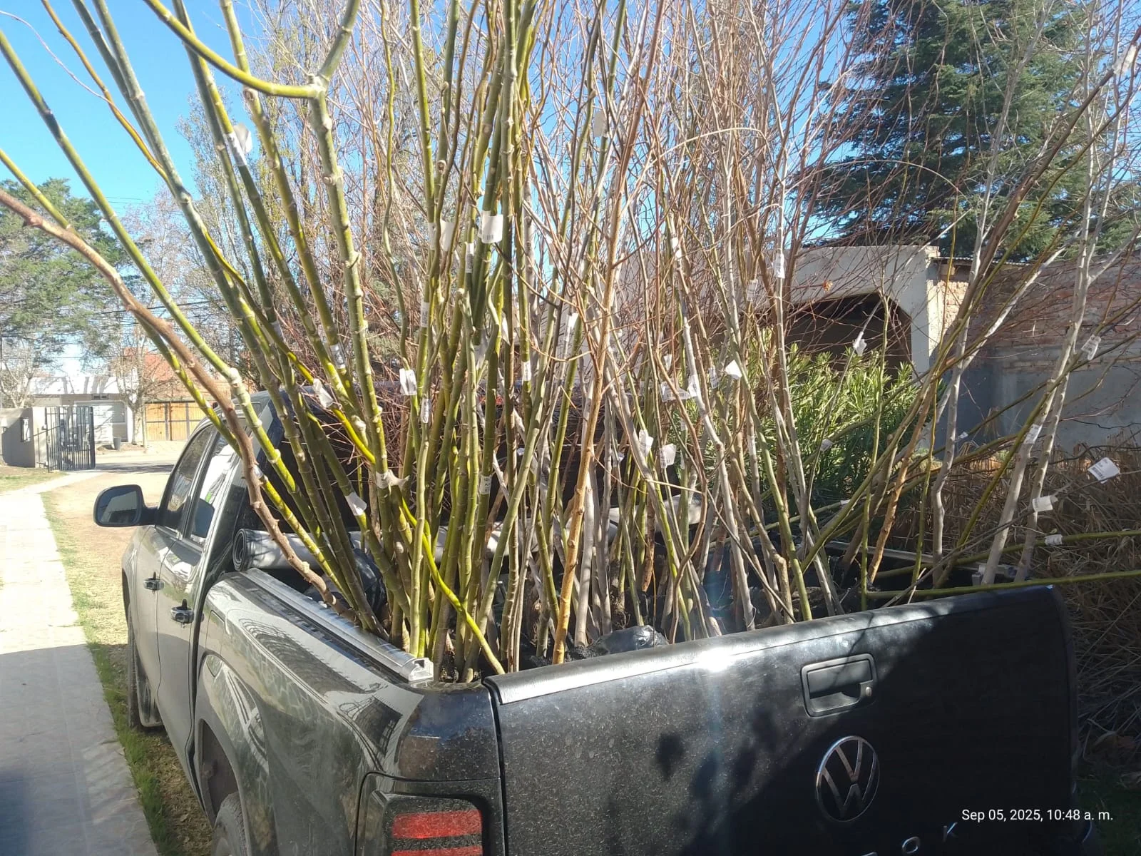 Vivero Municipal de Plottier