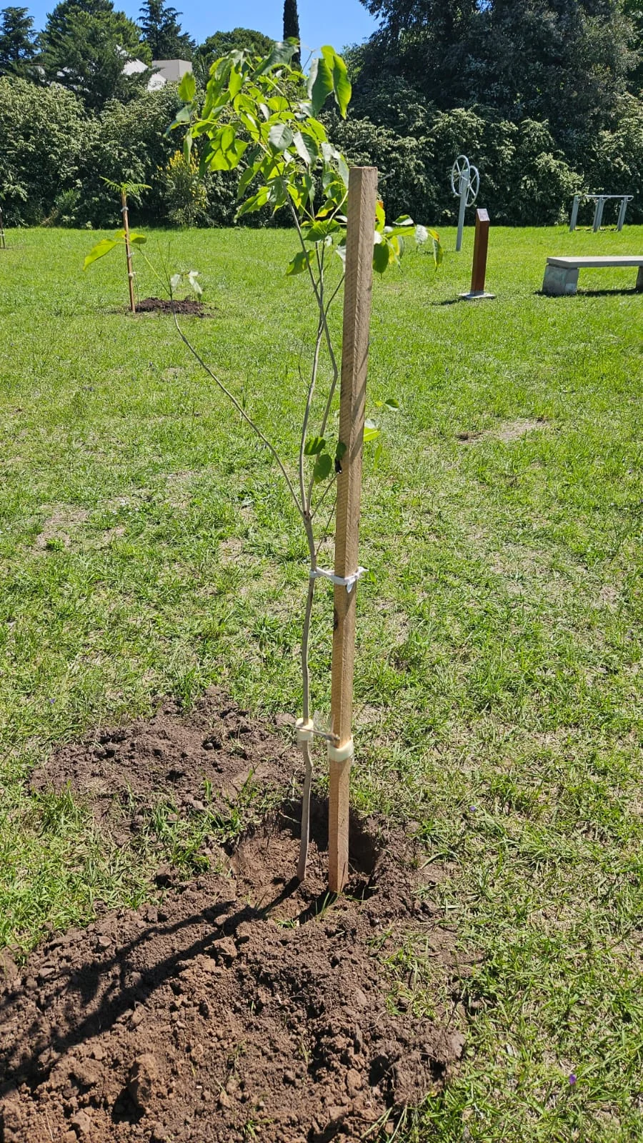 AFRICA vivero boutique