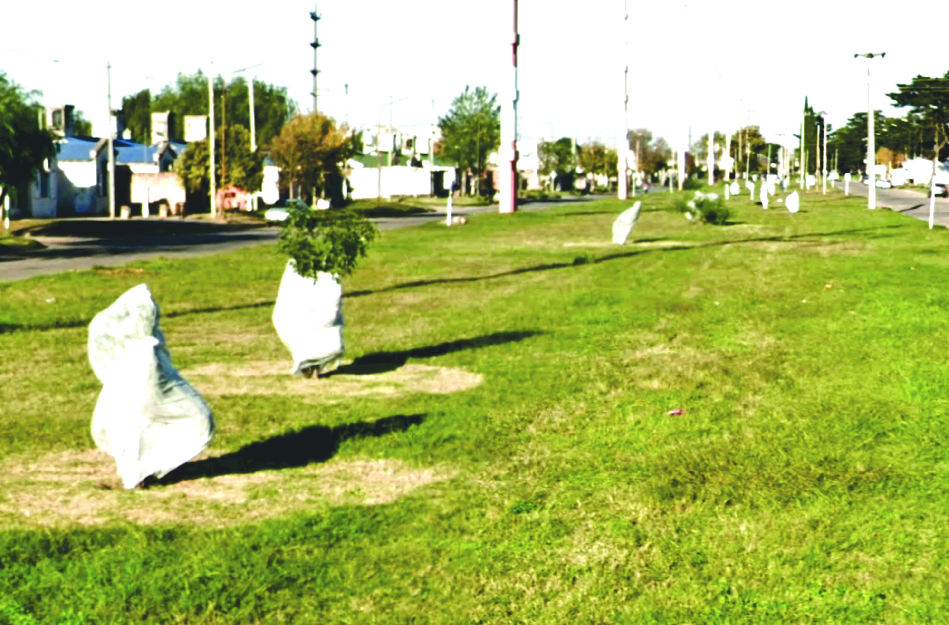 Colegio La Santa Unión de los SS.CC.