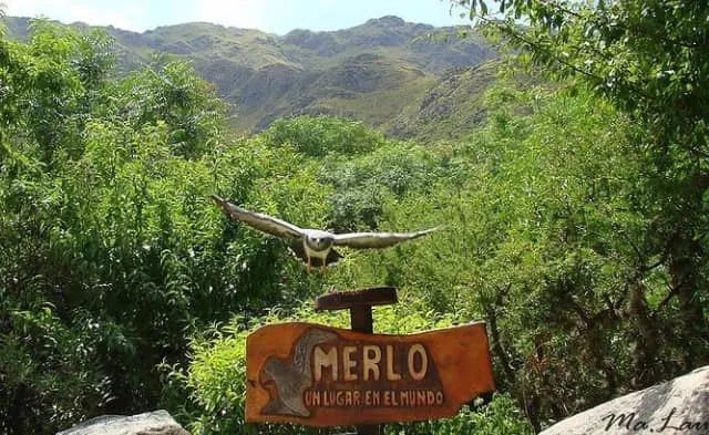 Observación de flora y fauna 