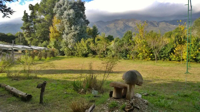 Mundhongo