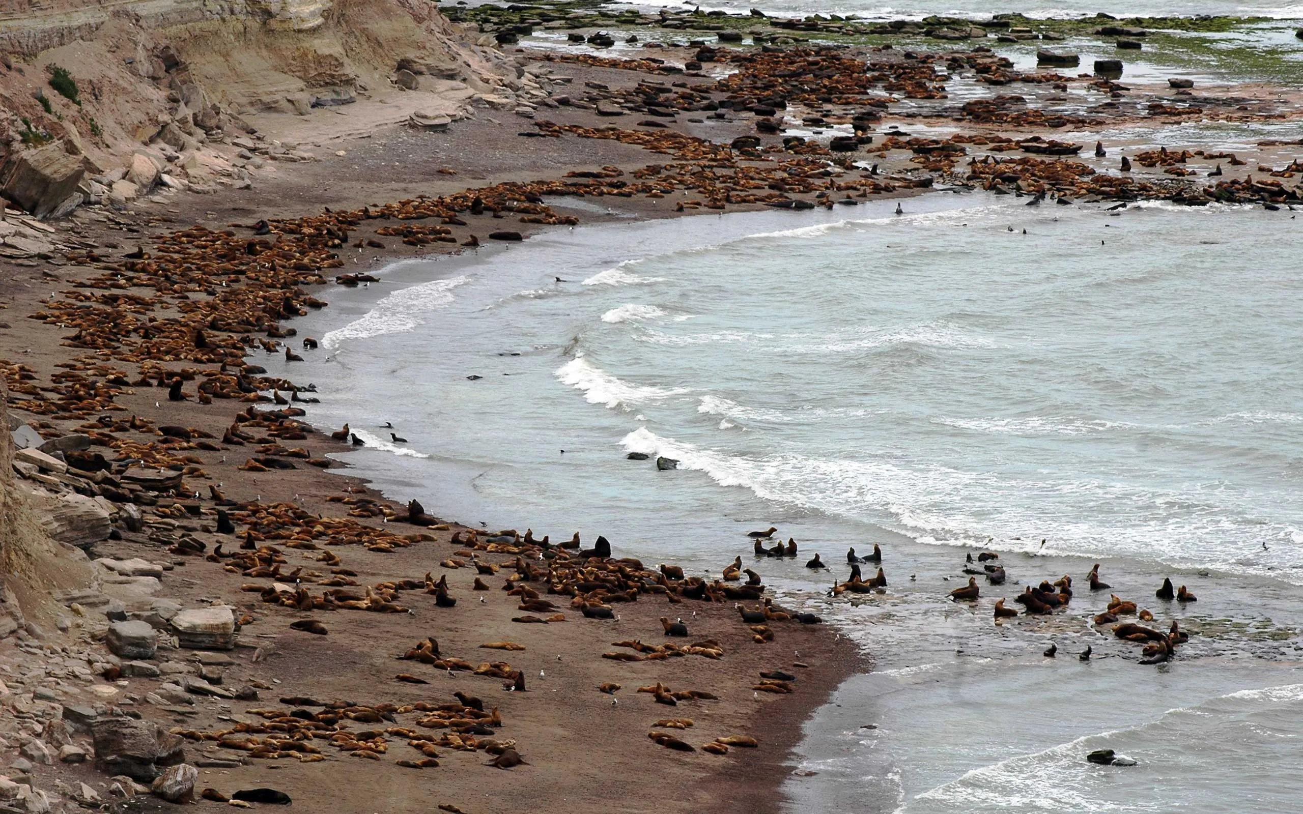 Reserva Provincial Punta Bermeja
