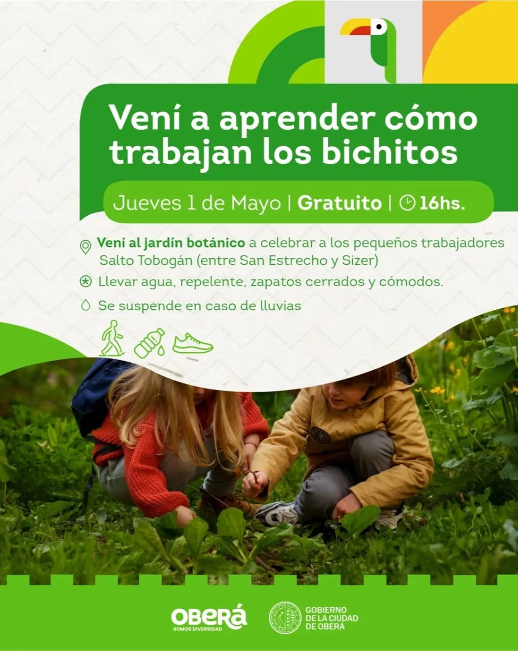 Sumergite en el micromundo de los bichitos misioneros que viven en el Jardín Botánico