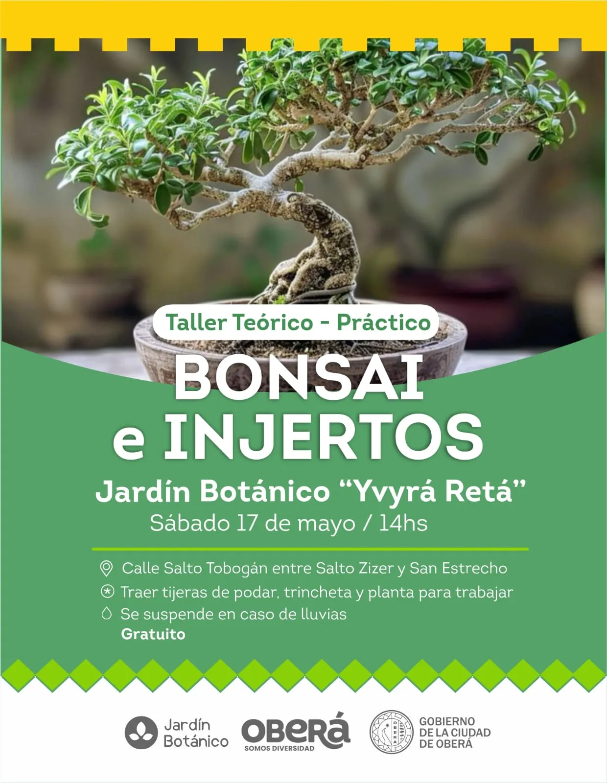 Viví un finde con actividades en el Jardín Botánico de Oberá