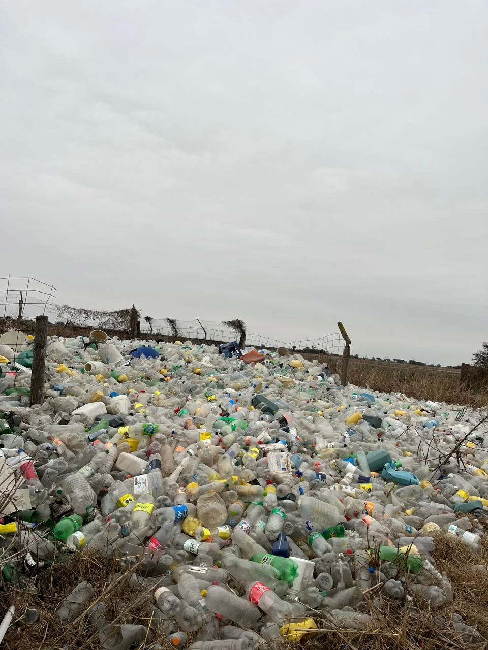 BOTELLAS PLÁSTICAS 